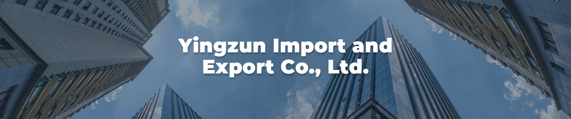 Yingzun Import and Export Co., Ltd